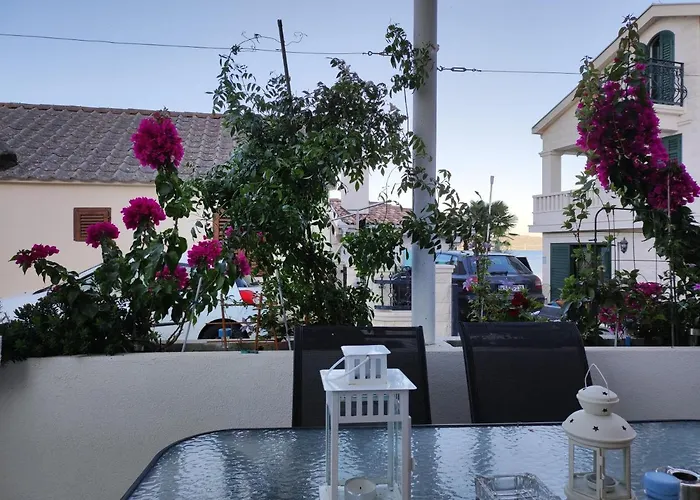 Apartment Branka *