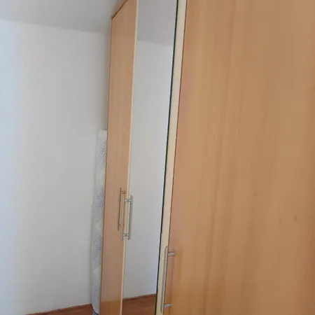 Apartment Branka *