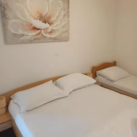 Apartment Branka *
