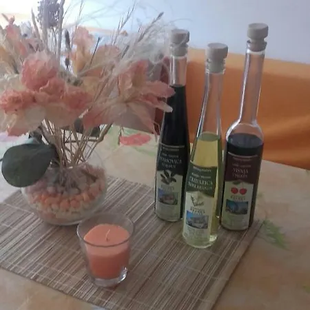 Apartment Branka